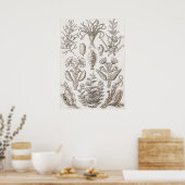 Kunstvormen in Natuur - Ernst Haeckel Poster (Keuken)