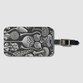 Kunstvormen van natuur bagagelabel