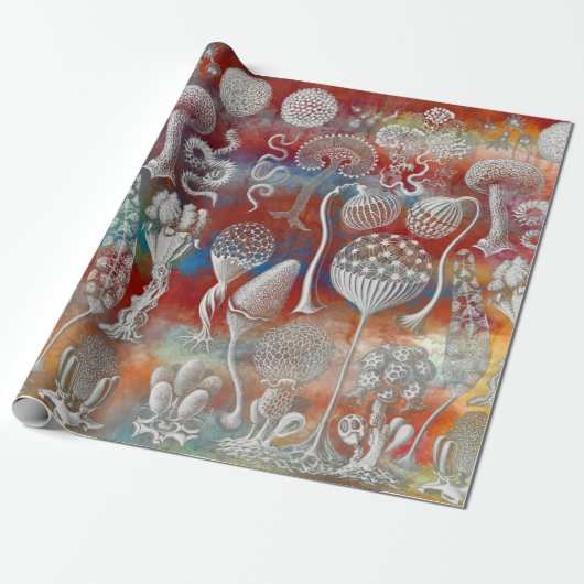 Kunstvormen van natuur cadeaupapier (Uitgerold)