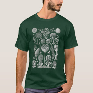 Kunstvormen van Natuur, Haeckel T-Shirt