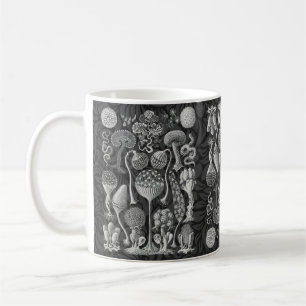 Kunstvormen van natuur koffiemok