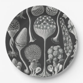 Kunstvormen van natuur papieren bordje