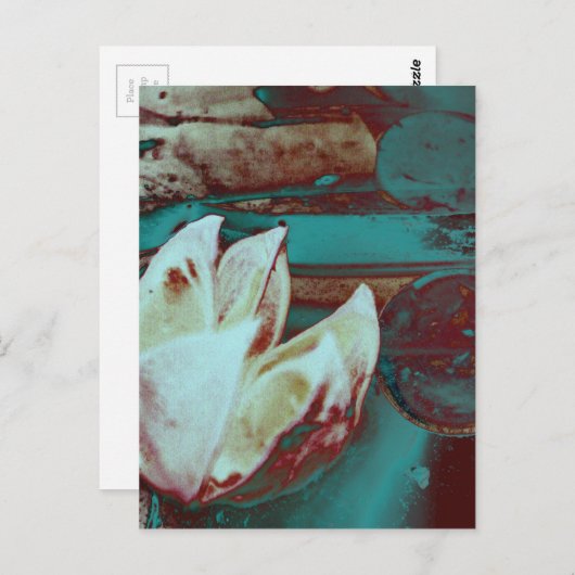 Kunstwater Lilly in Red en Blue Briefkaart (Voorkant / Achterkant)