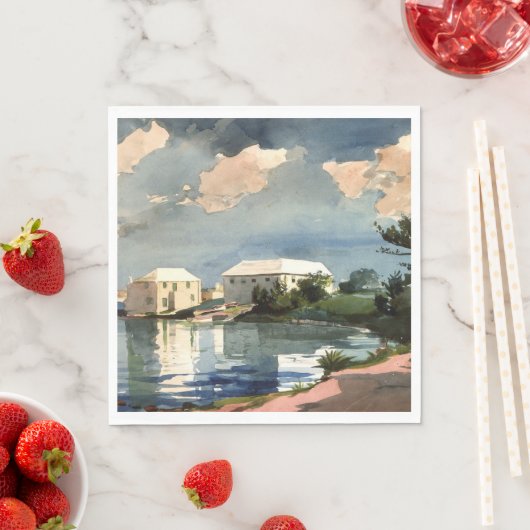 Kunstwerk Bermuda, Salt Kettle Servet (Insitu)