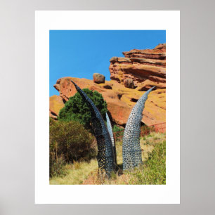 Kunstwerk in het Red Rocks park Poster