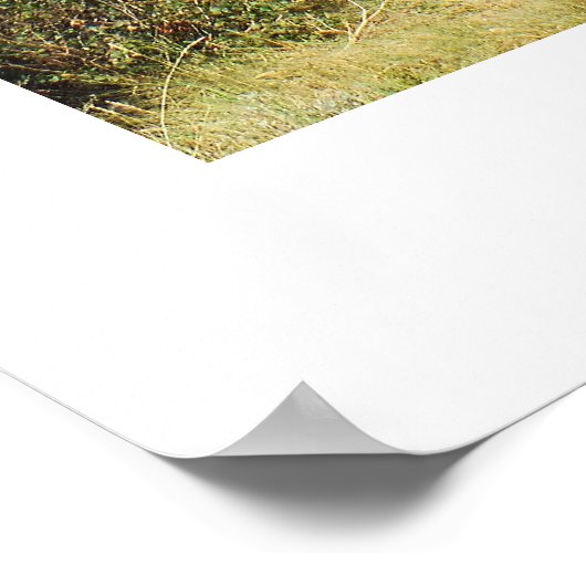 Kunstwerk in het Red Rocks park Poster (Hoek)