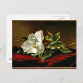 Kunstwerk Magnolia Grandiflora Briefkaart (Voorkant / Achterkant)