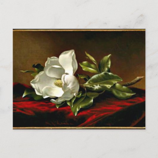 Kunstwerk Magnolia Grandiflora Briefkaart (Voorkant)