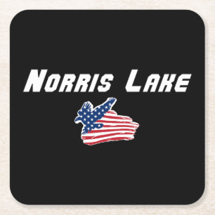 Kunstwerk met Amerikaanse adelaar vlag van Norris Kartonnen Onderzetters