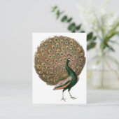 kunstwerk Peafowl (pauw) loodgietersgroen goud Briefkaart (Staand voorkant)