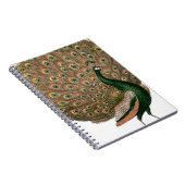kunstwerk Peafowl (pauw) loodgietersgroen goud Notitieboek (Rechterzijde)
