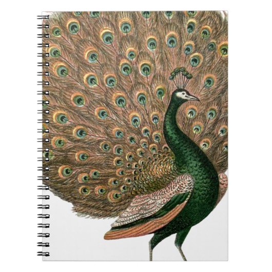 kunstwerk Peafowl (pauw) loodgietersgroen goud Notitieboek (Voorkant)