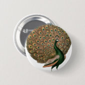 kunstwerk Peafowl (pauw) loodgietersgroen goud Ronde Button 5,7 Cm (Voorkant /achterkant)