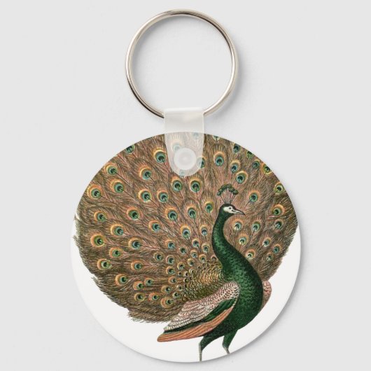 kunstwerk Peafowl (pauw) loodgietersgroen goud Sleutelhanger (Voorkant)