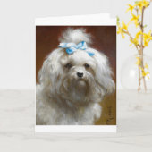 kunstwerk - Poedel met een blauwe boog, Kaart (Gele Bloem)