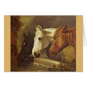  kunstwerk - trio van paarden, (Voorkant Horizontaal)