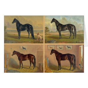 kunstwerk - vier paardenracestuilen,