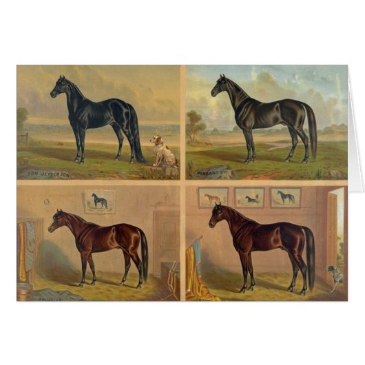  kunstwerk - vier paardenracestuilen, (Voorkant Horizontaal)