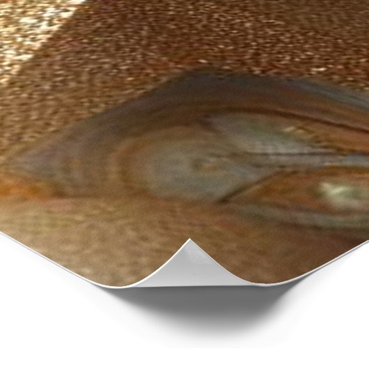 Kunstwinterscène en sneeuw- en ijskristallen vastl poster (Hoek)