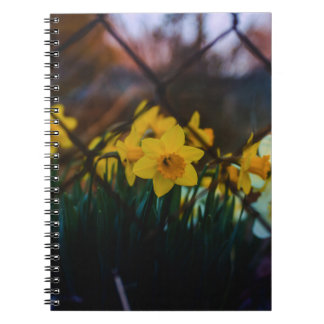 Kunstzinnig Fotoboek met Narcissen Spiraal Noteboo Notitieboek