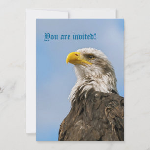 Kunstzinnig portret van een Amerikaanse zeearend i Kaart
