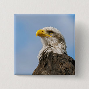 Kunstzinnig portret van een Amerikaanse zeearend i Vierkante Button 5,1 Cm