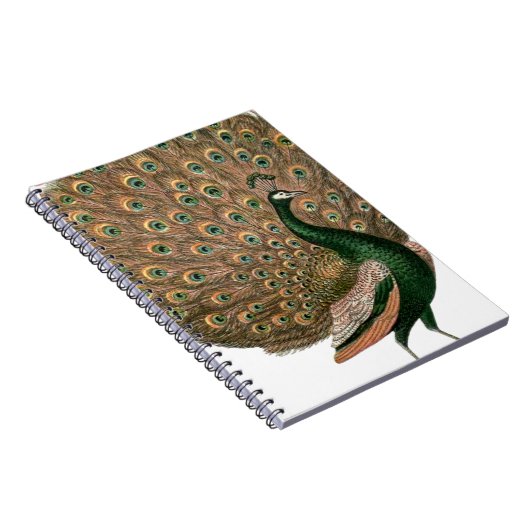 Kunstzinnige afbeelding van een pauw in groen en g notitieboek (Rechterzijde)