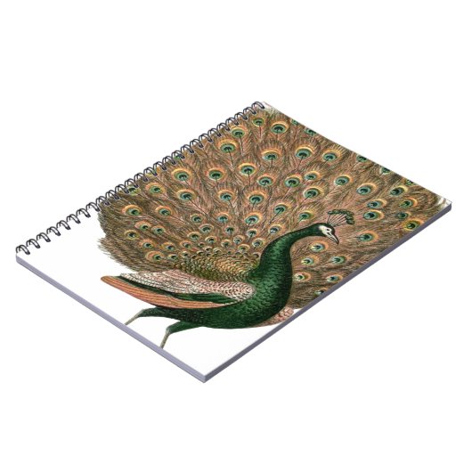 Kunstzinnige afbeelding van een pauw in groen en g notitieboek (Linkerzijde)