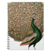 Kunstzinnige afbeelding van een pauw in groen en g notitieboek (Voorkant)