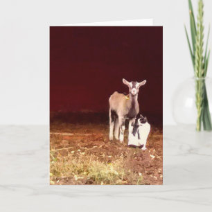 Kunstzinnige foto van een geit en zijn Wenskaart Kaart