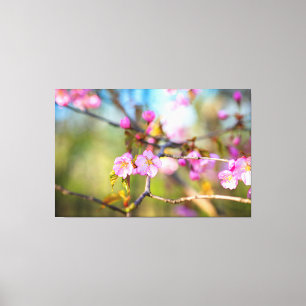 Kunstzinnige Roze Kersenbloesems In De Kersentuin Canvas Afdruk