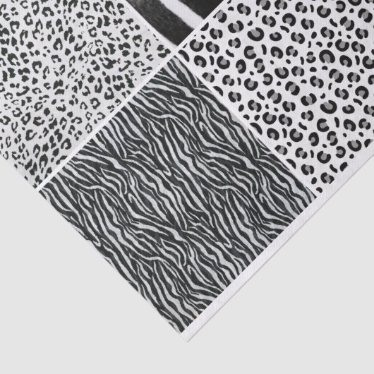 Kunstzwart wit veer Verberg textuur Tissuepapier (Detail)