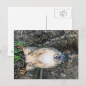 Kunt u een moer besparen?(kleur) briefkaart (Voorkant / Achterkant)