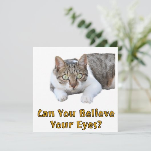 Kunt u geloven dat uw eyes Cute Cat Art Kaart (Staand voorkant)