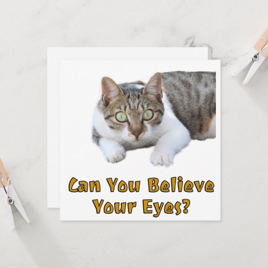 Kunt u geloven dat uw eyes Cute Cat Art Kaart (Voorkant / Achterkant in situ)