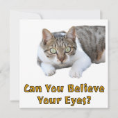 Kunt u geloven dat uw eyes Cute Cat Art Kaart (Voorkant)