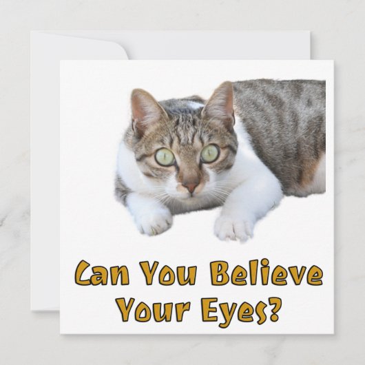 Kunt u geloven dat uw eyes Cute Cat Art Kaart (Voorkant)