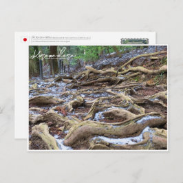 Kurama-dera (Kinone-michi tree roots road) ポストカード Briefkaart