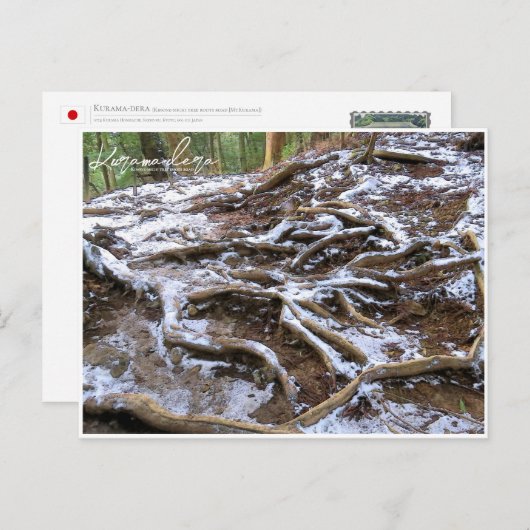 Kurama-dera (Kinone-michi tree roots road) Briefkaart (Voorkant / Achterkant)