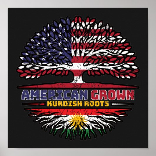 Kurdistan Kurdish US American USA United States Tr Poster (Voorkant)