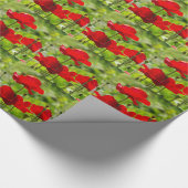 kurfpapaver cadeaupapier (Hoek)