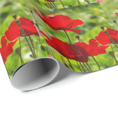 kurfpapaver cadeaupapier (Rol Hoek)