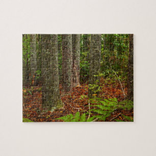 Kuri-bomen Nieuw-Zeeland Legpuzzel