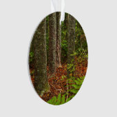 Kuri-bomen | Nieuw-Zeeland Ornament (voorkant)