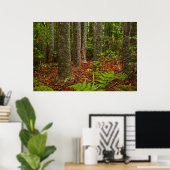 Kuri-bomen | Nieuw-Zeeland Poster (Thuiskantoor)