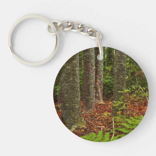 Kuri-bomen | Nieuw-Zeeland Sleutelhanger (Voorkant)