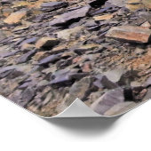 Kurious Kea Poster (Hoek)