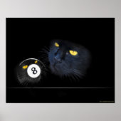 KuriousKat Poster (Voorkant)