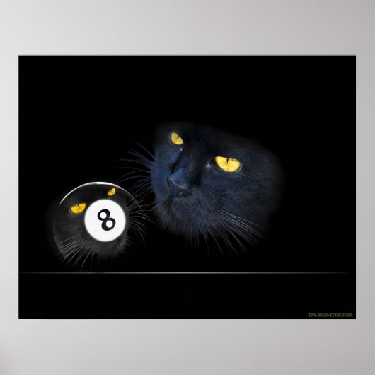 KuriousKat Poster (Voorkant)