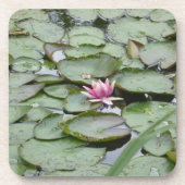Kurk Onderzetters set van 6- Monet Garden Lily Pad (Voorkant)